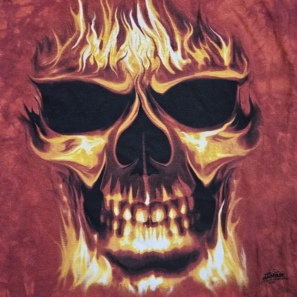 The Mountain David Penfound Flaming Skull T-Shirt Men’s XL 2005 Fire Graphic - Picture 3 of 8